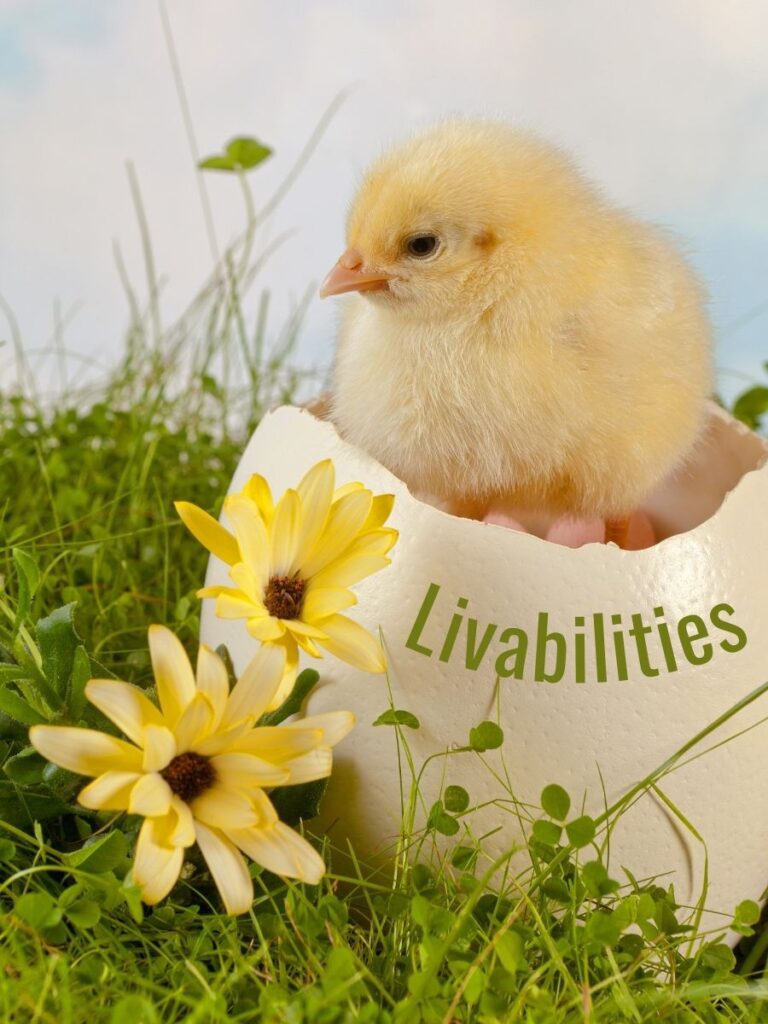 A beautiful chick sitting on a cracked egg that reads Livabilities